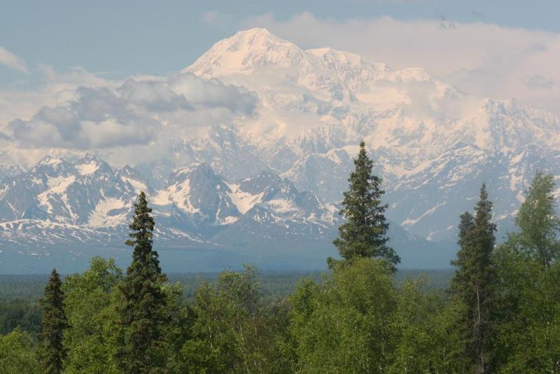 Talkeetna Alaskan Lodge Bagian luar foto